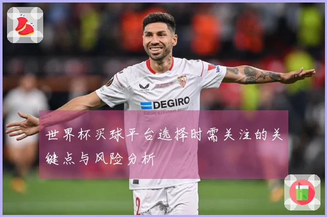 世界杯买球平台选择时需关注的关键点与风险分析