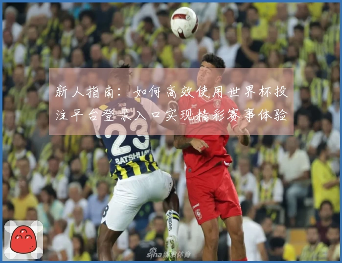 新人指南：如何高效使用世界杯投注平台登录入口实现精彩赛事体验