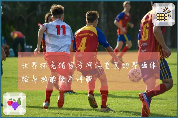 世界杯竞猜官方网站首页的界面体验与功能使用详解