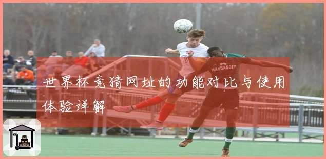 世界杯竞猜网址的功能对比与使用体验详解