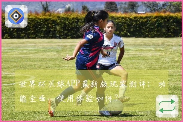 世界杯买球APP最新版玩家测评：功能全面，使用体验如何？