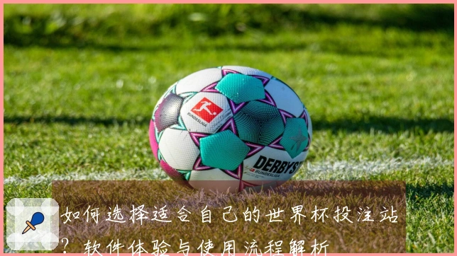 如何选择适合自己的世界杯投注站?软件体验与使用流程解析