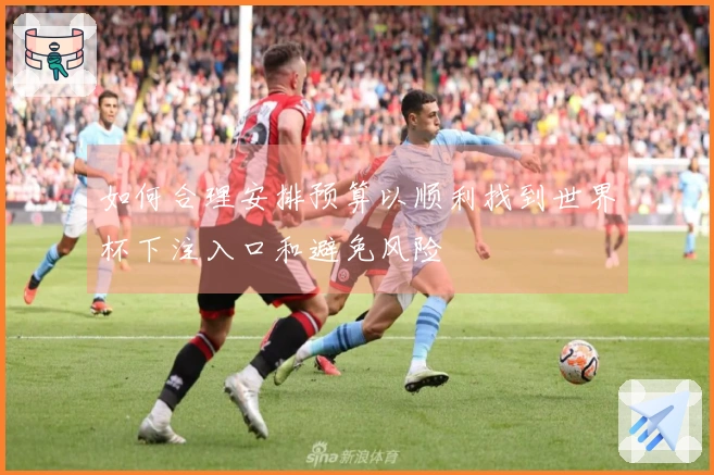 如何合理安排预算以顺利找到世界杯下注入口和避免风险