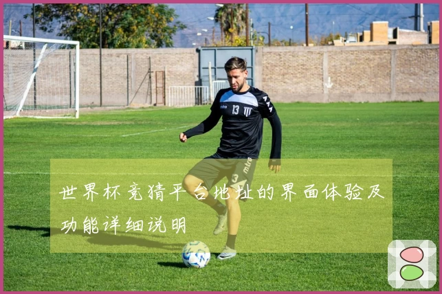 世界杯竞猜平台地址的界面体验及功能详细说明